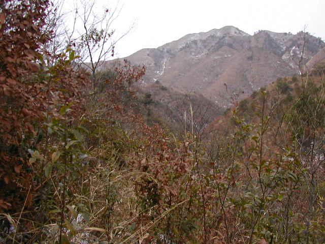 View from the Confluence to the West