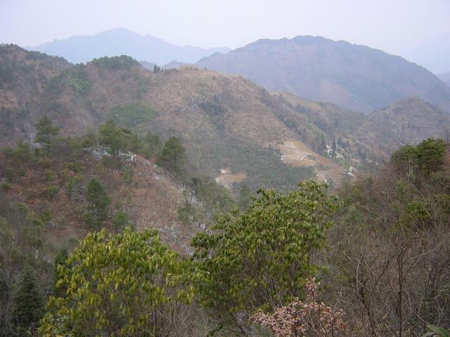 View from the Confluence to the North