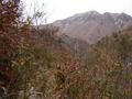 #10: View from the Confluence to the West