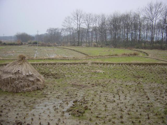 View from the Confluence to the West