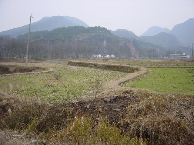 View from the Confluence Point looking North