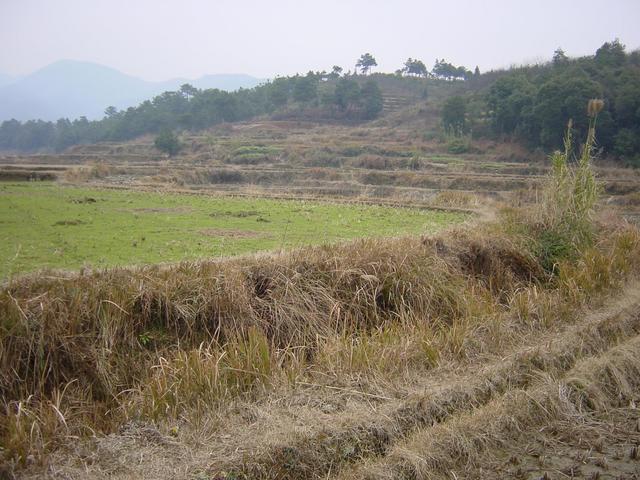 View from the Confluence to the East