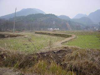 #1: View from the Confluence Point looking North