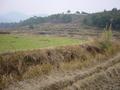 #8: View from the Confluence to the East