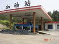 #2: Petrol station with pine forest behind