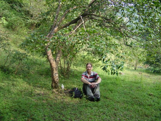 Relaxing under shade of closest tea tree to confluence