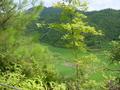 #3: Facing north