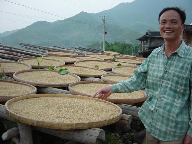 Mr Chen Changge, village chief, with freshly harvested rice drying in sun