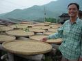 #2: Mr Chen Changge, village chief, with freshly harvested rice drying in sun