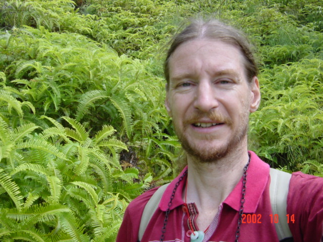 Targ in a sea of ferns.