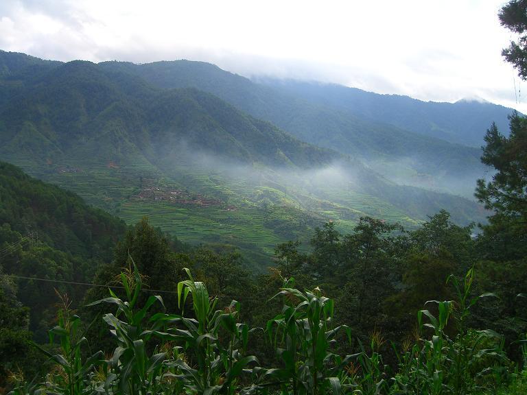 View of the area standing only a few meters from the confluence.