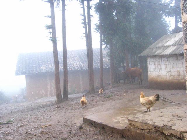 Deserted Village in 800m Distance