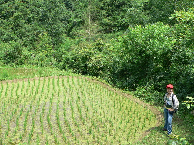 Ah Feng beside the two small rice paddies.