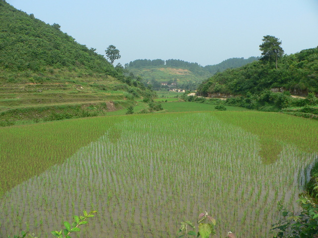 Looking down a valley in the direction of the confluence, 1.75 kilometres to the NW.