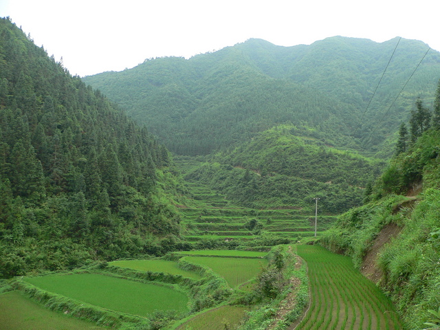 Looking west towards the confluence, 290 metres away near the top end of the valley.