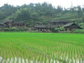 #3: Old wooden houses sporting satellite dishes.