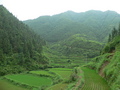 #6: Looking west towards the confluence, 290 metres away near the top end of the valley.