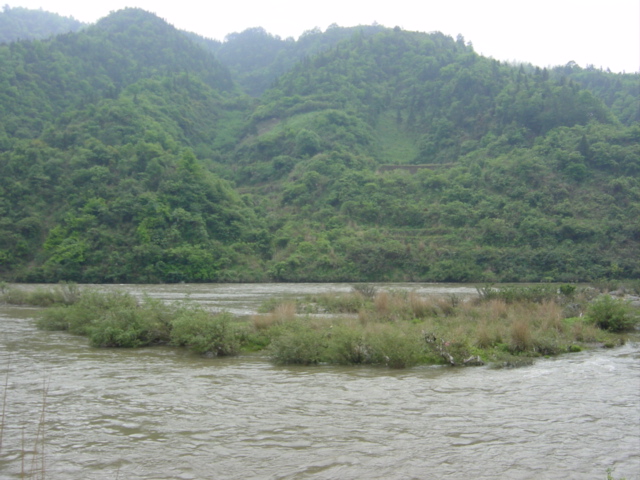 Looking east from the bank, the confluence 110 metres away, perhaps on an island