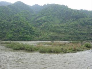 #1: Looking east from the bank, the confluence 110 metres away, perhaps on an island