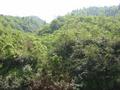 #5: Facing east