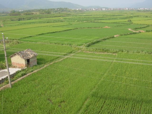 Confluence at intersection of four fields in middle of photo, taken from roof of nearby farmhouse