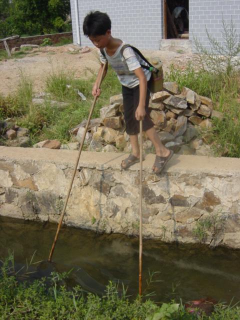 Boy catching fish by electrocution