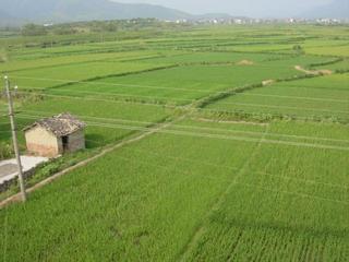 #1: Confluence at intersection of four fields in middle of photo, taken from roof of nearby farmhouse