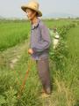 #7: Peasant with backpack of poison spray