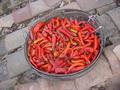 #3: Chillies left out to dry on roof in Dongshao