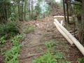 #6: Hilltop clearing, where cleaned logs are pushed over precipice (top centre)