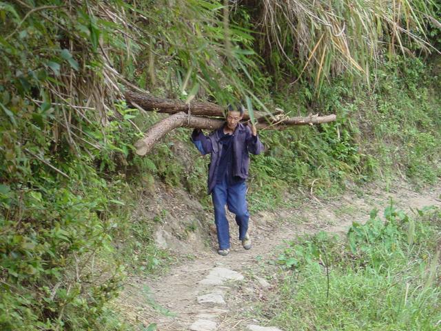 Peasant carrying two large logs on his shoulder