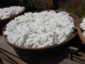 #8: Cotton drying in the sun
