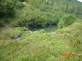 #2: Pretty valley, featuring a partially dammed creek with stepping stones, and a small temple, the roof of which is just visible.