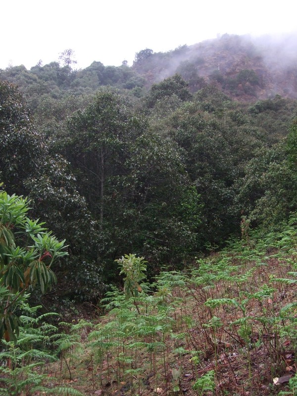 Looking SW at the Point from about 100 meters