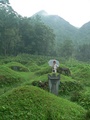 #5: Ah Feng amid Tiānkuàngpō's graveyard.