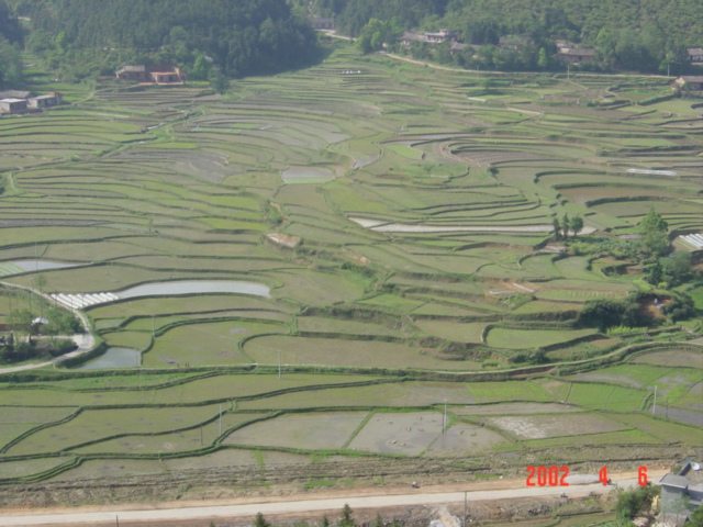 View from temple