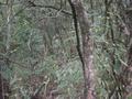 #7: Facing south