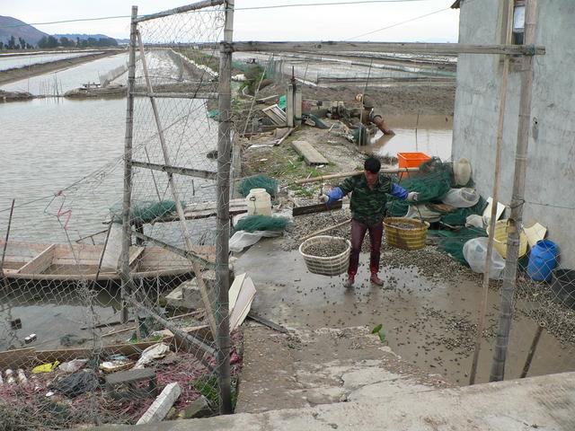 Shellfish farmer on reclaimed land near confluence