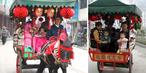 #3: Horse drawn tourist cart in Ebian