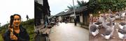 #6: Scenes from Maoqiao the village 1.5 km from the confluence