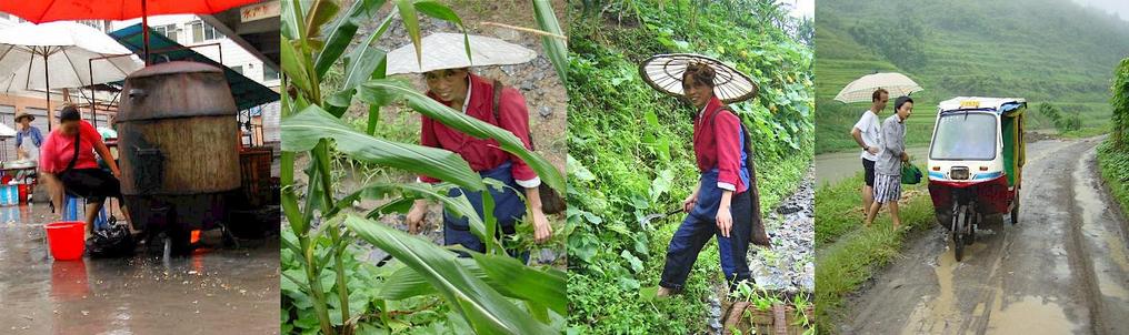 Iron oven baking ducks to perfection - farmers donning wide brim hats to stay dry. - Watch out for that sickle!