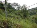 #4: View looking east from the confluence point