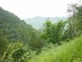 #5: View looking west from the confluence point