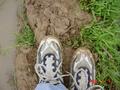 #10: Precariuosly balanced on a mud bank, jockeying for position with an earthworm