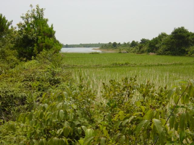 Body of water near confluence