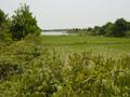 #3: Body of water near confluence