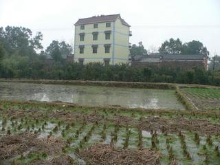 #1: Looking south towards the village of Songwang