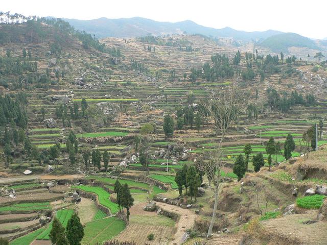 Terraced hills, confluence in top middle of picture