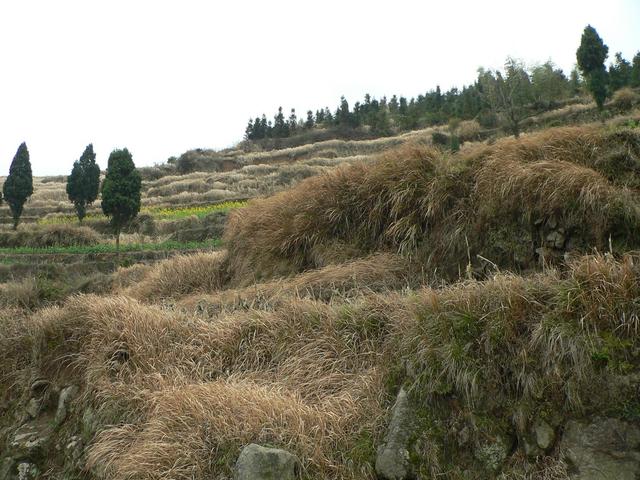 Facing south