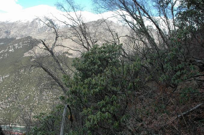 Confluence point on a steep slope and looking toward North